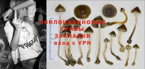 наркотики Богданович