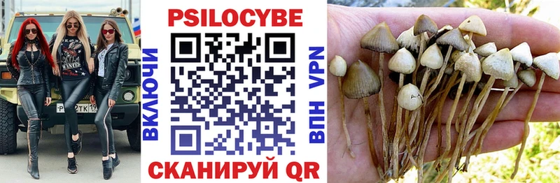 Галлюциногенные грибы Psilocybe  Ейск 